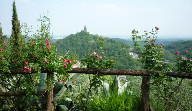 Castelnovo del Friuli