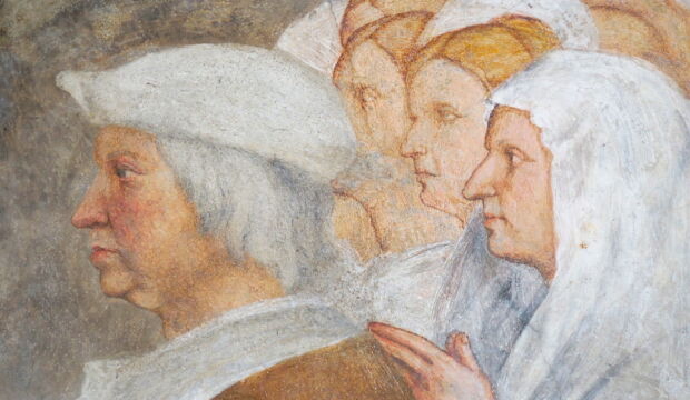 il Pordenone, Madonna della Misericordia