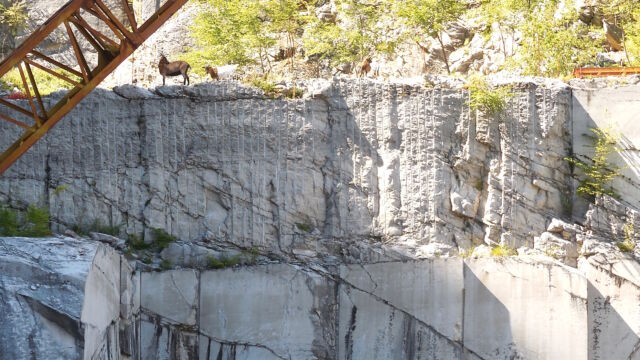 Pietra calcare della cava Spessa a Pradis di Sotto di Clauzetto ph. Reale